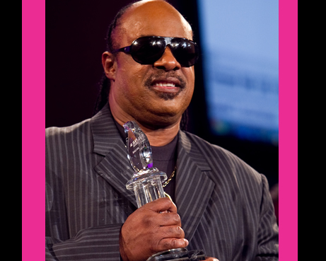 Stevie Wonder AAPD Image Award